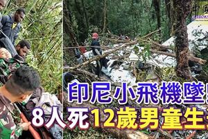 印尼小飛機墜毀,8人喪命，一名12歲的男孩生還!