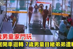 2歲男童家門玩鄰居開車迴轉7歲男童目睹弟弟遭輾斃
