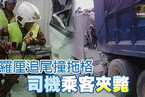羅釐追尾撞拖格司機乘客夾斃