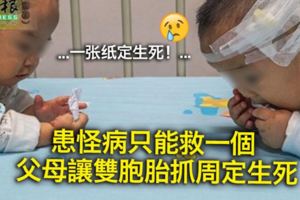 患怪病只能救一個父母讓雙胞胎抓周定生死