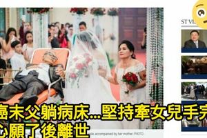 癌末父躺病床…堅持牽女兒手完婚心願了後離世