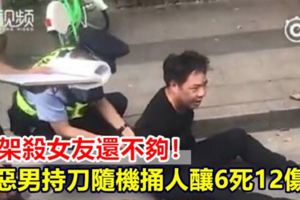 吵架殺女友還不夠！惡男持刀隨機捅人釀6死12傷