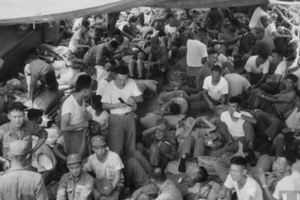 1958年，美國記者約翰·多米尼斯鏡頭下的金門炮戰(圖9張)