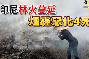 印尼西加裡曼丹省林火,煙霾情況惡化，一個月內奪走了四條人命