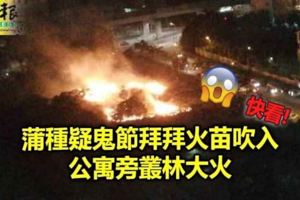 蒲種疑鬼節拜拜火苗吹入公寓旁叢林大火