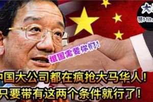 【大馬華人好消息】中國大公司都在瘋搶大馬華人！只有你會這兩樣東西就行了！