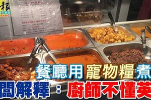 澳洲印度餐廳「CafeMarica」廚師﻿用寵物糧煮食!老闆解釋︰廚師不懂英文!