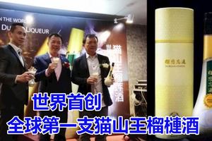 世界首創，全球第一支貓山王榴槤酒，正式在太平推介，更被列入大馬紀錄大全。