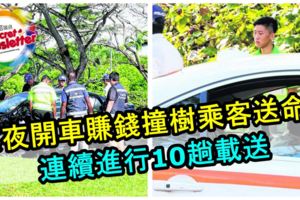 熬夜開車賺錢撞樹乘客送命！大學生害人害己被關4週和吊銷駕照5年！
