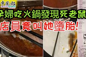 ﻿孕婦吃火鍋發現死老鼠店員竟叫她墮胎引眾怒