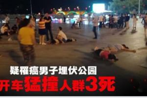 瘋男想報復社會蓄意開車猛撞人群3死43傷