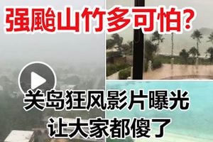 強颱山竹多可怕？關島狂風影片曝光讓大家都傻了