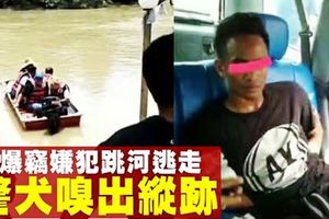 2爆竊嫌犯棄車跳河　躲不過警犬嗅覺被捕