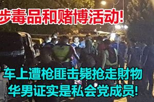 車上遭槍匪擊斃搶走財物，華男證實是私會黨成員!涉毒品和賭博活動!