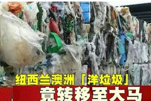 紐西蘭澳洲「洋垃圾」竟轉移至大馬