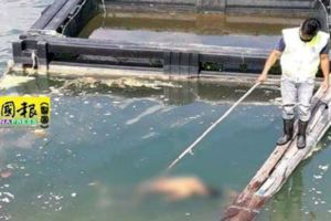 青年疑失足魚塘溺斃無人知