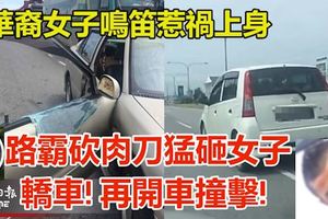 華裔女子鳴笛惹禍上身!路霸砍肉刀猛砸女子轎車!再開車撞擊!
