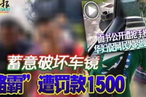 蓄意破壞車鏡路霸遭罰款1500