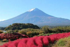 賞楓去！富士山追逐紅葉之旅三選