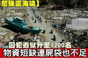 【印尼強震海嘯】囚犯逃獄升至1200名物資短缺連屍袋也不足