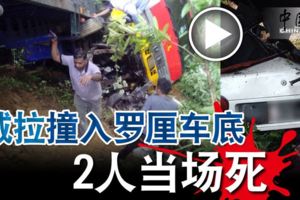 (有視頻看）威拉撞入羅釐車底-2人當場死