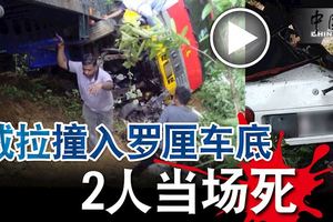 整輛威拉撞入羅釐車底,2巫裔男子當場死!