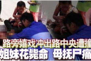 路旁嬉戲沖出路中央遭撞小姐妹花斃命母撫屍痛哭