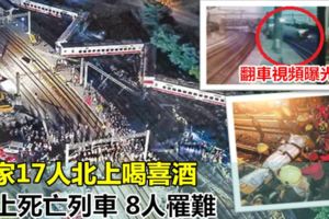 全家17人北上喝喜酒搭上死亡列車8人罹難【翻車視頻曝光】