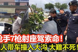 槍手7槍射座駕索命！健身中心業者連人帶車撞入大溝！大難不死！