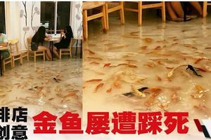 魚池咖啡店被轟虐待動物