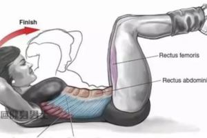 最全腹肌訓練圖解，腹肌就該這麼練，千萬別說你不會練！