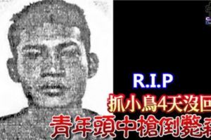 抓小鳥4天沒回家青年頭中槍倒斃森林。R.I.P