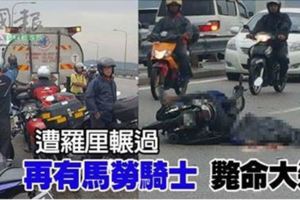 遭羅釐輾過再有馬勞騎士斃命大道！！