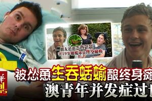被慫恿生吞蛞蝓釀終身癱瘓澳青年並發症過世