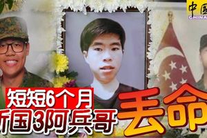 短短6個月,新國3阿兵哥丟命!再次引起人們討論!
