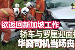 共車欲返回新加坡工作，轎車與羅釐迎面撞，華裔司機當場喪命！
