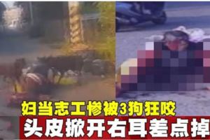 婦當志工慘被3狗狂咬,頭皮掀開右耳差點掉落!