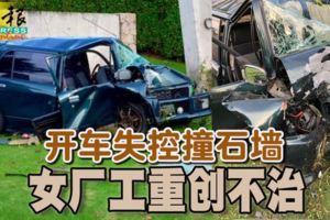 開車失控撞石牆女廠工重創不治