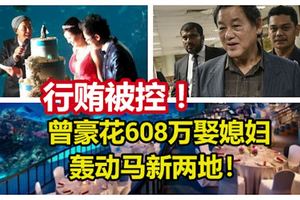 曾豪花608萬娶媳婦，轟動馬新兩地！陳英文行賄被控！