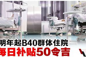 林冠英：一年最多14天‧B40住院每日補貼50