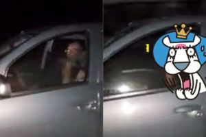 就是等不及！激情男女不怕死邊開車邊...嚇壞路人網笑：正港玩命關頭