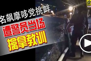 2名飆摩哆黨挑釁遭警員當場擒拿教訓