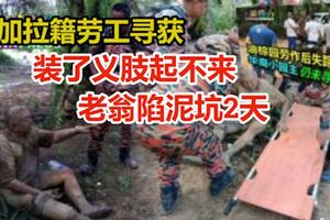 裝了義肢起不來，老翁陷泥坑2天！孟加拉籍勞工尋獲！