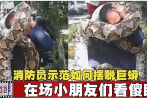 消防員示範如何擺脫巨蟒在場小朋友們看傻眼！