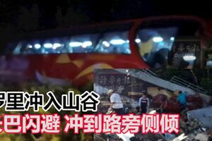 【羅裡沖入山谷】一跟車員喪命！長巴閃避沖到路旁側傾，所幸車上人均無大礙