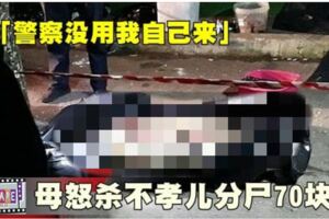 「警察沒用我自己來」母怒殺不孝兒分屍70塊!
