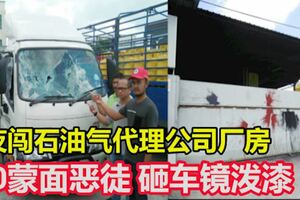 夜闖石油氣代理公司廠房　10蒙面惡徒砸車鏡潑漆
