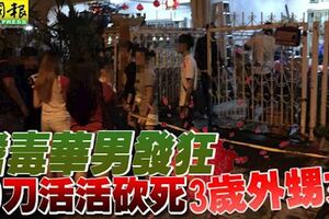 嗜毒華男發狂！30刀活活砍死3歲外甥女！！