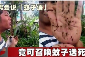 男會說「蚊子語」竟可召喚蚊子送死！