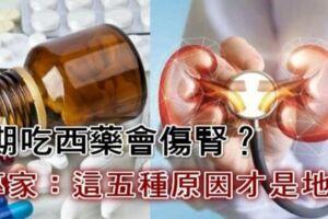 「長期吃西藥會傷腎？」釐清以下5大迷思，避免終身洗腎！